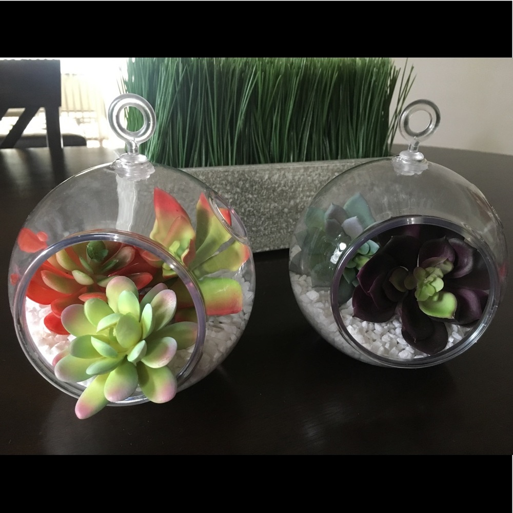 Artificial succulent terrariums